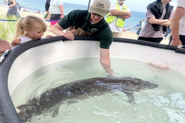 The live Sturgeon touch tank from previous Sturgeon Fests.