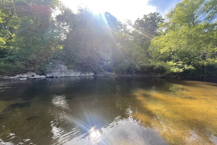 The shoreline of Mill Creek off the Black River Access Trail.