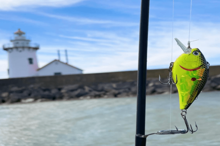 A fishing lure.