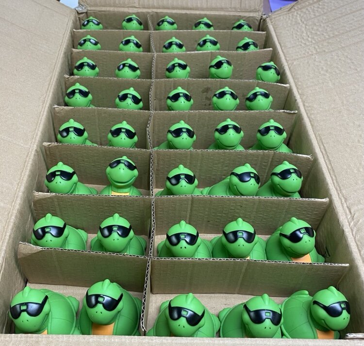 Turtles can be purchased at a number of St. Clair businesses.