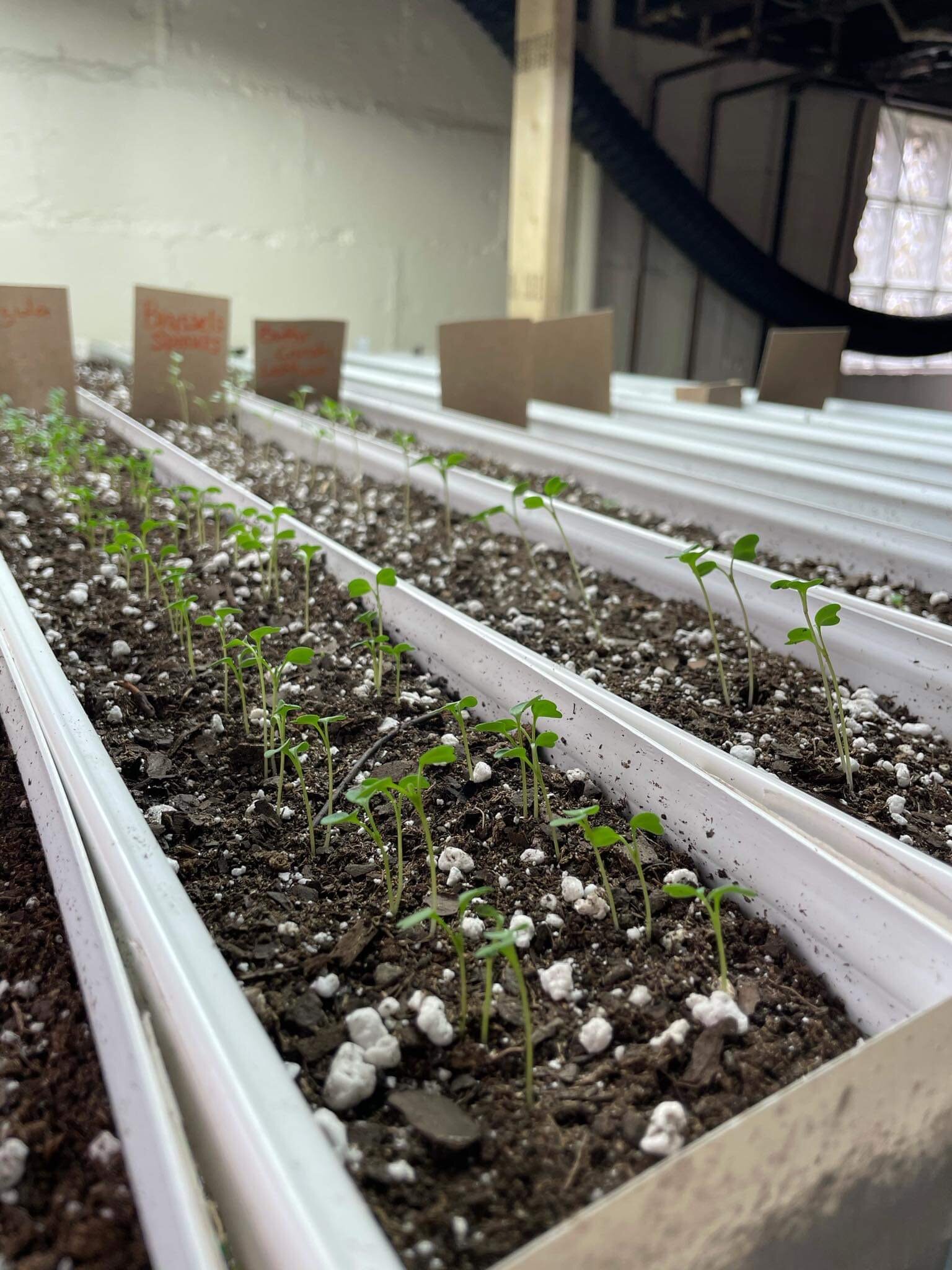 “We want to help give people a little fresher food options,” says Fagan.