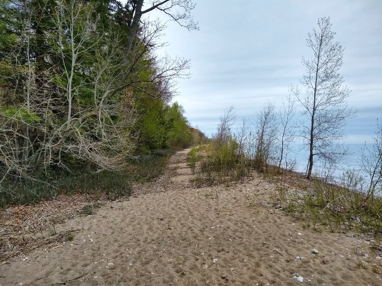 Runners can find short trails at Lakeport State Park.