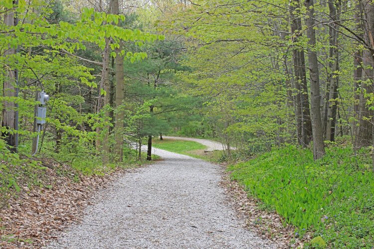 Pine River Nature Center in Goodells has more than three miles of hilly trails, some of which are quite challenging for an area of Michigan that is mostly flat.
