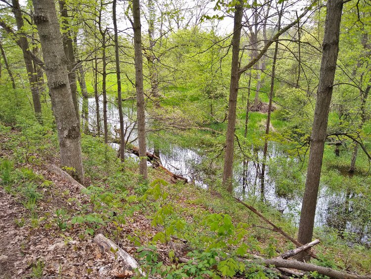 Columbus County Park has a variety of trails perfect for running, especially for runners looking for some hills.