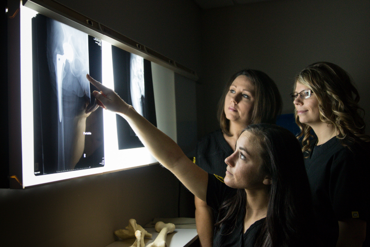 Radiology students examine X-rays to determine a diagnosis.
