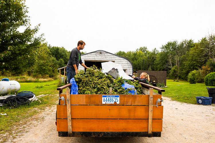 Scott and Shannon Schwabe work with the hops in a trailer.