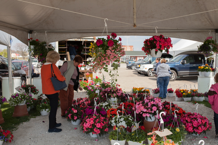 Customers check out the hanging baskets offered by vendors.