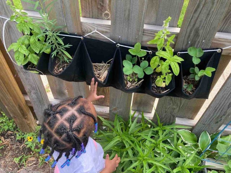 Children are exposed to fresh air, gardening, vegetables and more when gardens become part of early childhood education experiences.