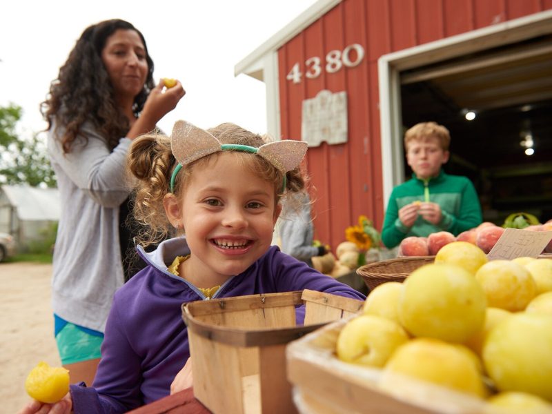 Families enjoying fresh fruits and vegetables at a local farm stand.
