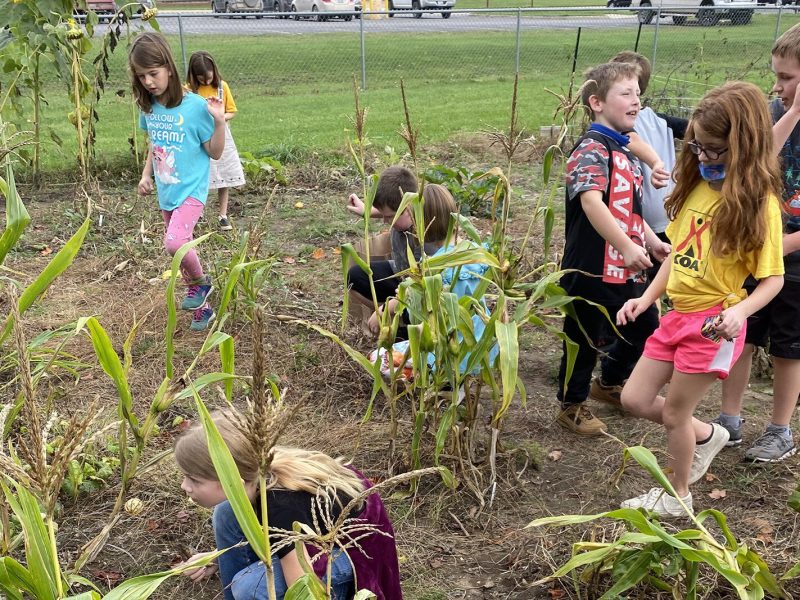 Children in the Three Sisters Garden in Buckley.