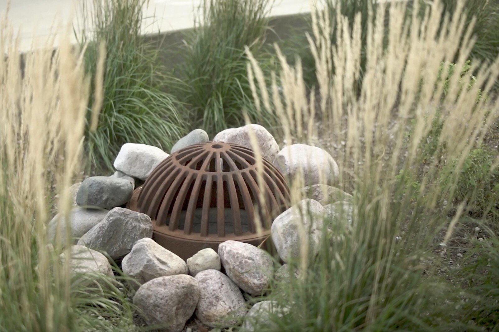 Rain garden with drain is another recommended way to deal with water after a rain.  Photo courtesy Michigan Sea Grant.