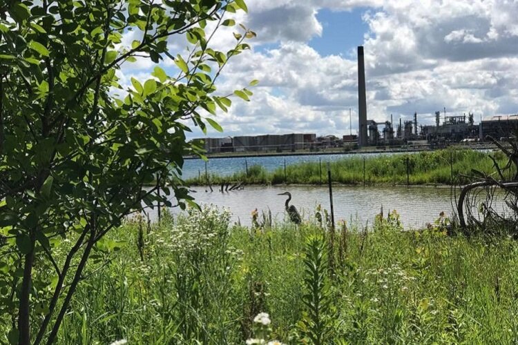 A scenic vista of the Blue Water River Walk