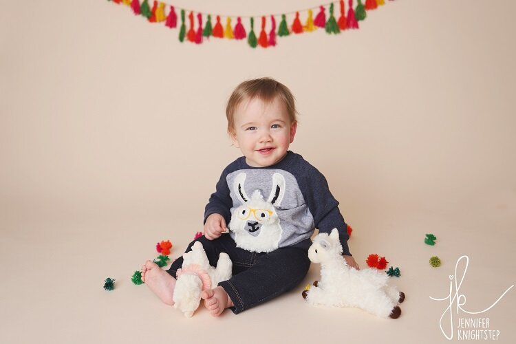 It's a whole "llama" fun during a photoshoot.