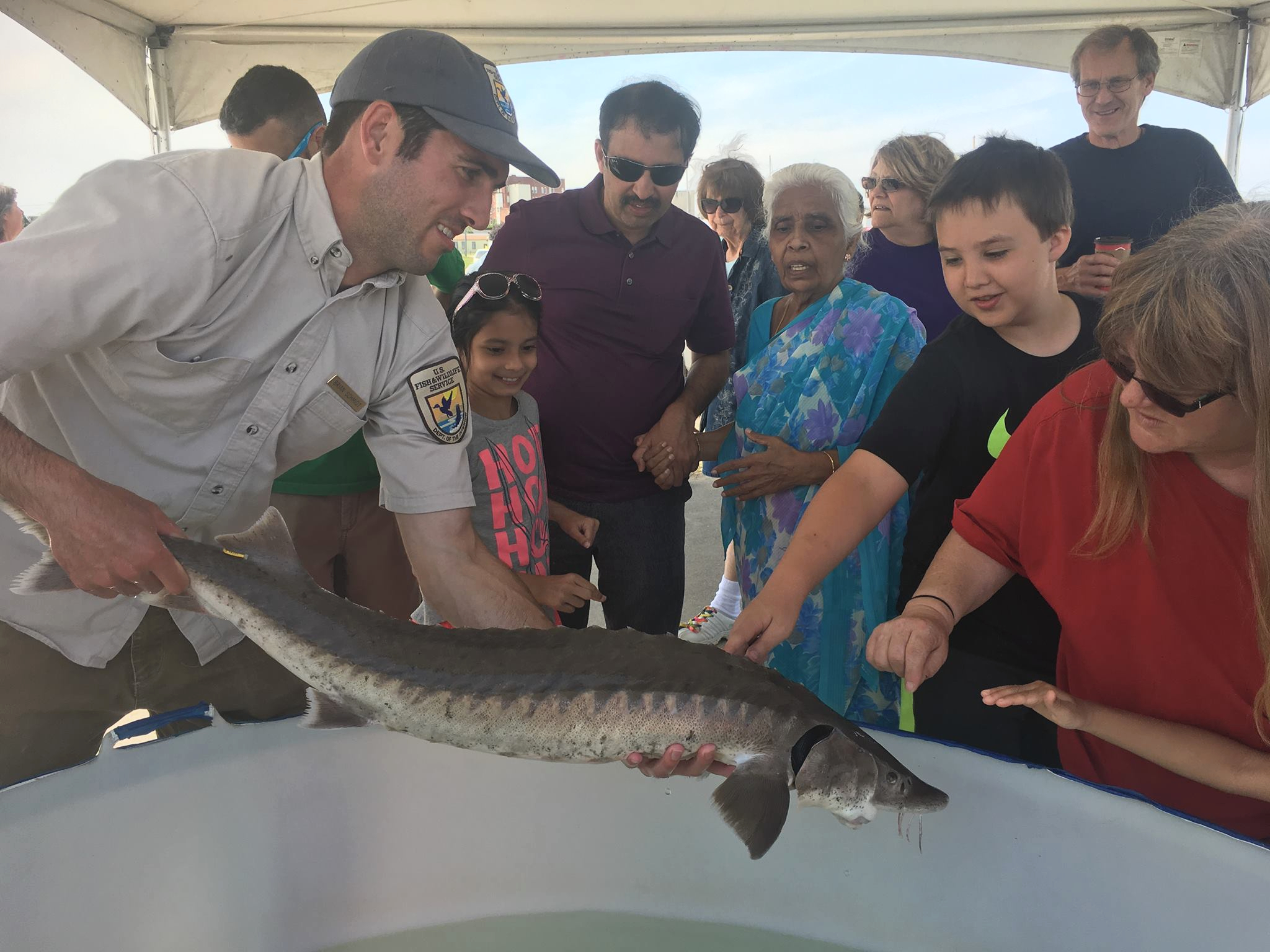 Visitors can get up close and personal with fish during the Blue Water Sturgeon Festival.